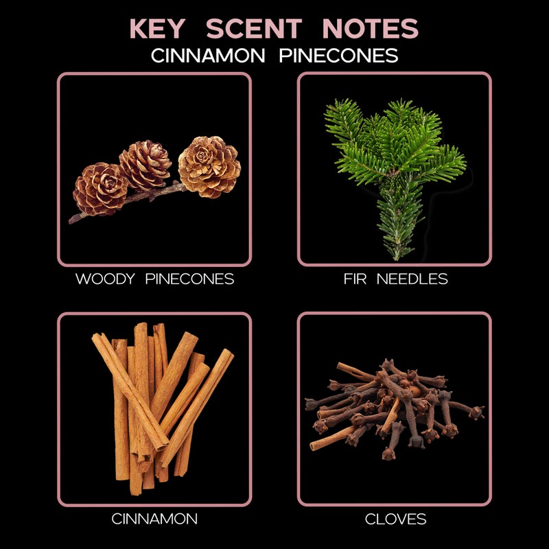 LOVSPA Reed Diffuser Set, Cinnamon Pine Cones Scented Oil Diffuser with Sticks, Home Fragrance Accessories for Bathroom Shelf Decor, Aroma Diffusers for Home or Office Desk, USA Made - Image 4